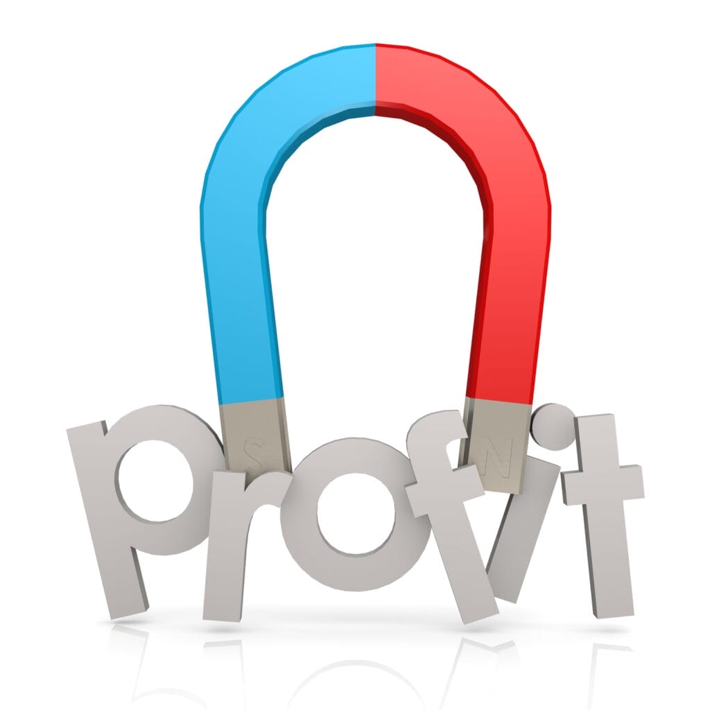 A beginners guide to profit first system